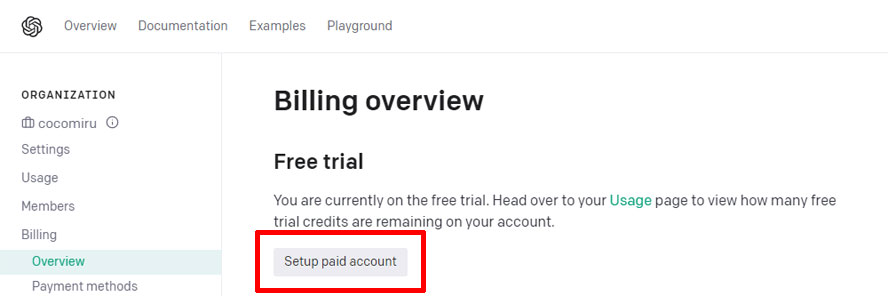 「Setup paid account」をクリック